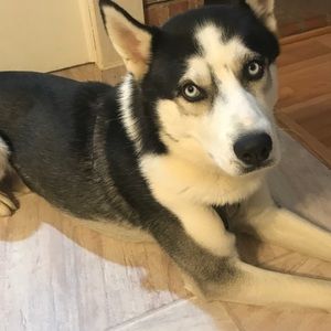 Meet your Posher, Maria